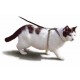 Cat Harnesses, Collars & Tags Cat Harnesses, Collars & Tags