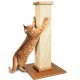 Cat Scratchers Cat Scratchers