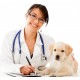 Dog Healthcare Dog Healthcare