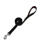 Dog Leads, Collars & Tags Dog Leads, Collars & Tags