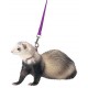 Small Pet Leads & Collars Small Pet Leads & Collars